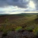 Mojave Desert, California