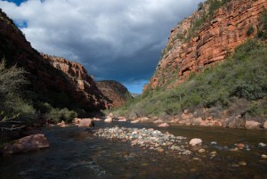 Sycamore Creek