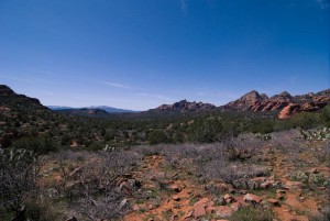 Sycamore Basin