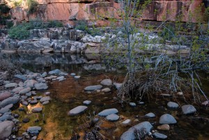 Evening in the canyon