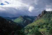 Indian Creek Canyon