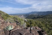 Looking into the canyon