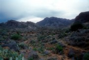 Rain in the desert