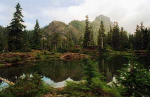 Misty Lake