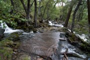 Along the trail, plenty of water