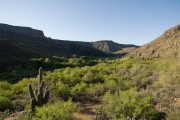 Upper Burro Creek