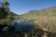 Upper Burro Creek