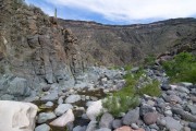 Upper Burro Creek